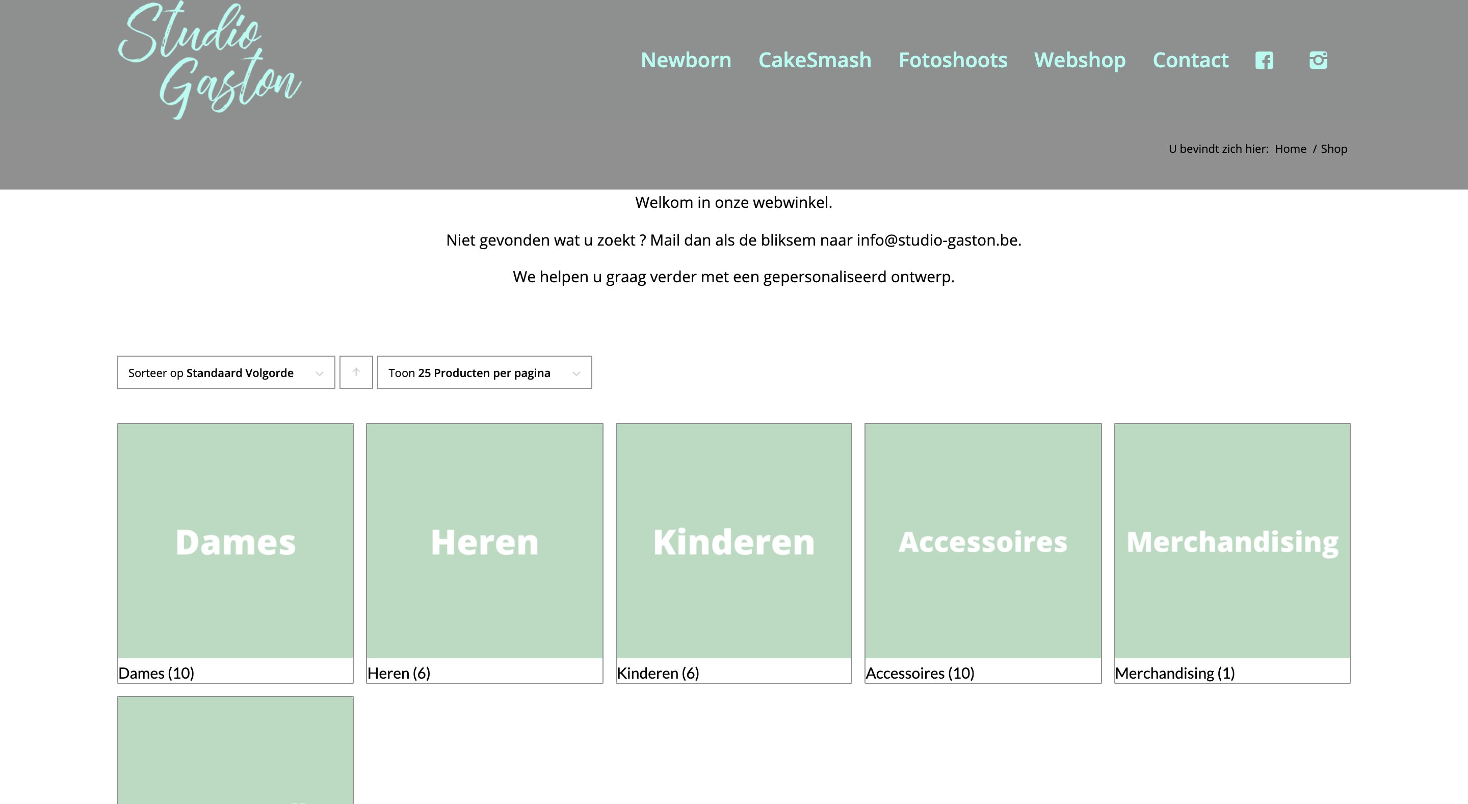 Screenshot webshop studio gaston